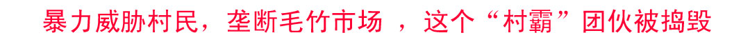 暴力威胁村民，垄断毛竹市场 ，这个“村霸”团伙被捣毁