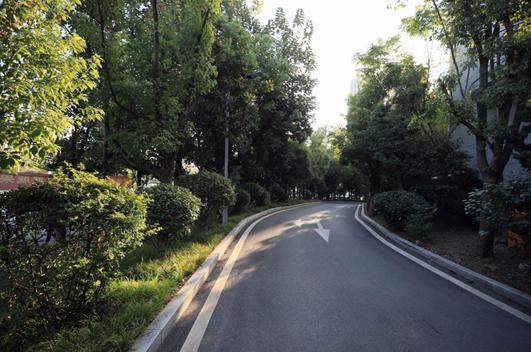 景德镇市检察院荣获“全国绿化模范单位”荣誉称号